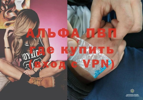 apvp Белокуриха